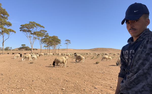 MA 0423 075 TT de herder en zijn schapen