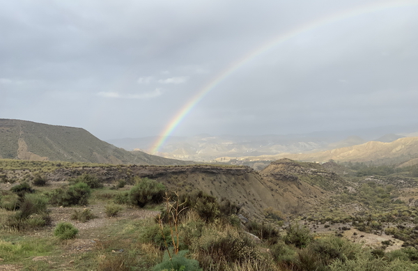 EP 1121 026 TT regenboog 