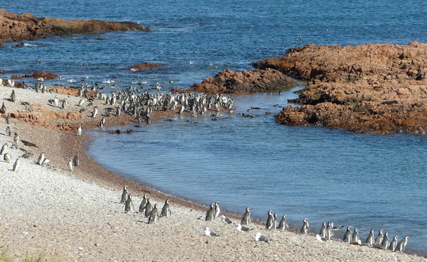 AR 0118 237 TT cabo dos bahias