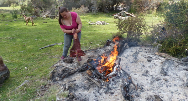 CH 0218 189 TT asado